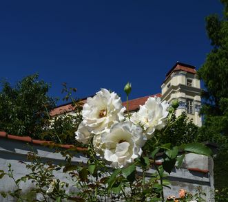 Detailaufnahme des Neuen Schlosses Tettnang